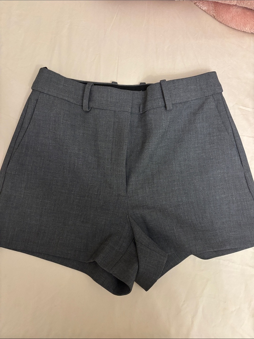 Aritzia Babaton Women's Tailored Gray Dress Shorts in size 4